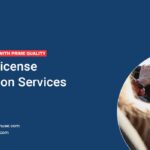 Ensure Safe Travel with Prime Quality Driving License Translation Services